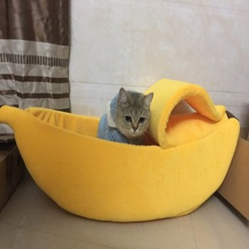 Banana Cat House